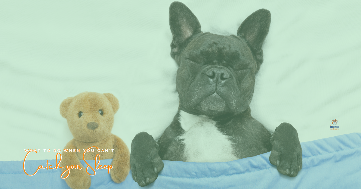 Can’t Catch Those Zzz’s?