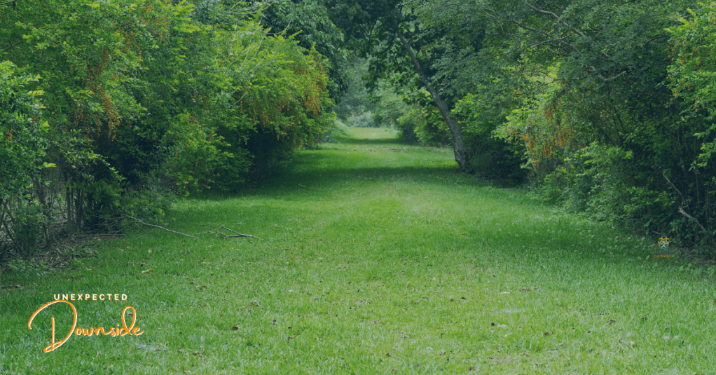 The Unexpected Downside of Solving Hay&nbsp;Fever…