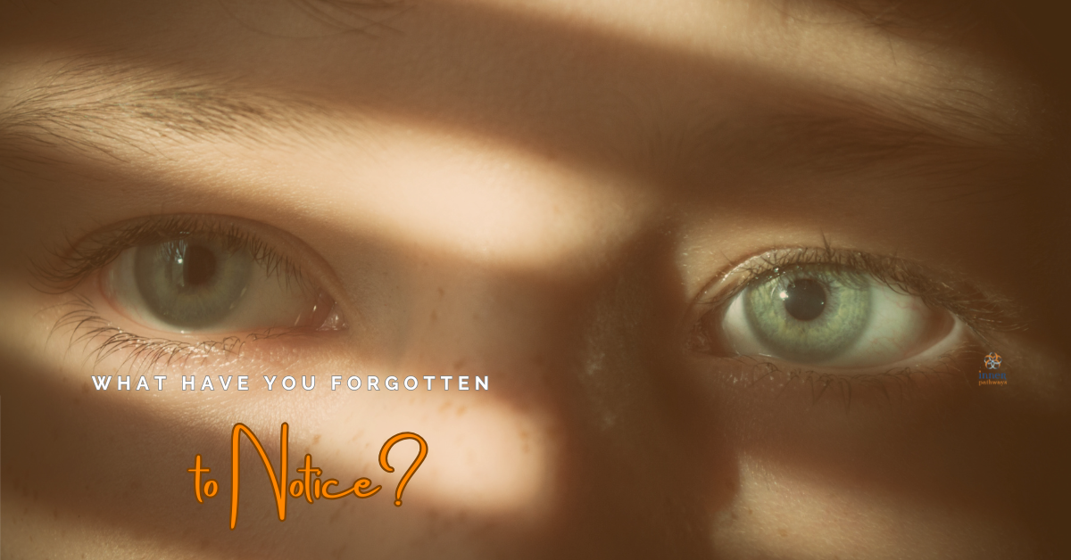 The Gift of Sight